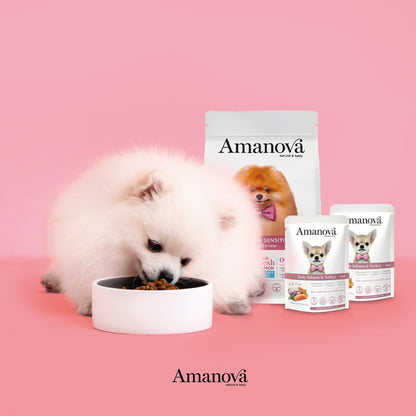 Amanova dog adult Tasty Salmon & Turkey 100 g pouch
