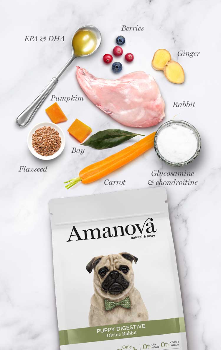 Amanova dog puppy Digestive küülik ja kõrvits 2 kg