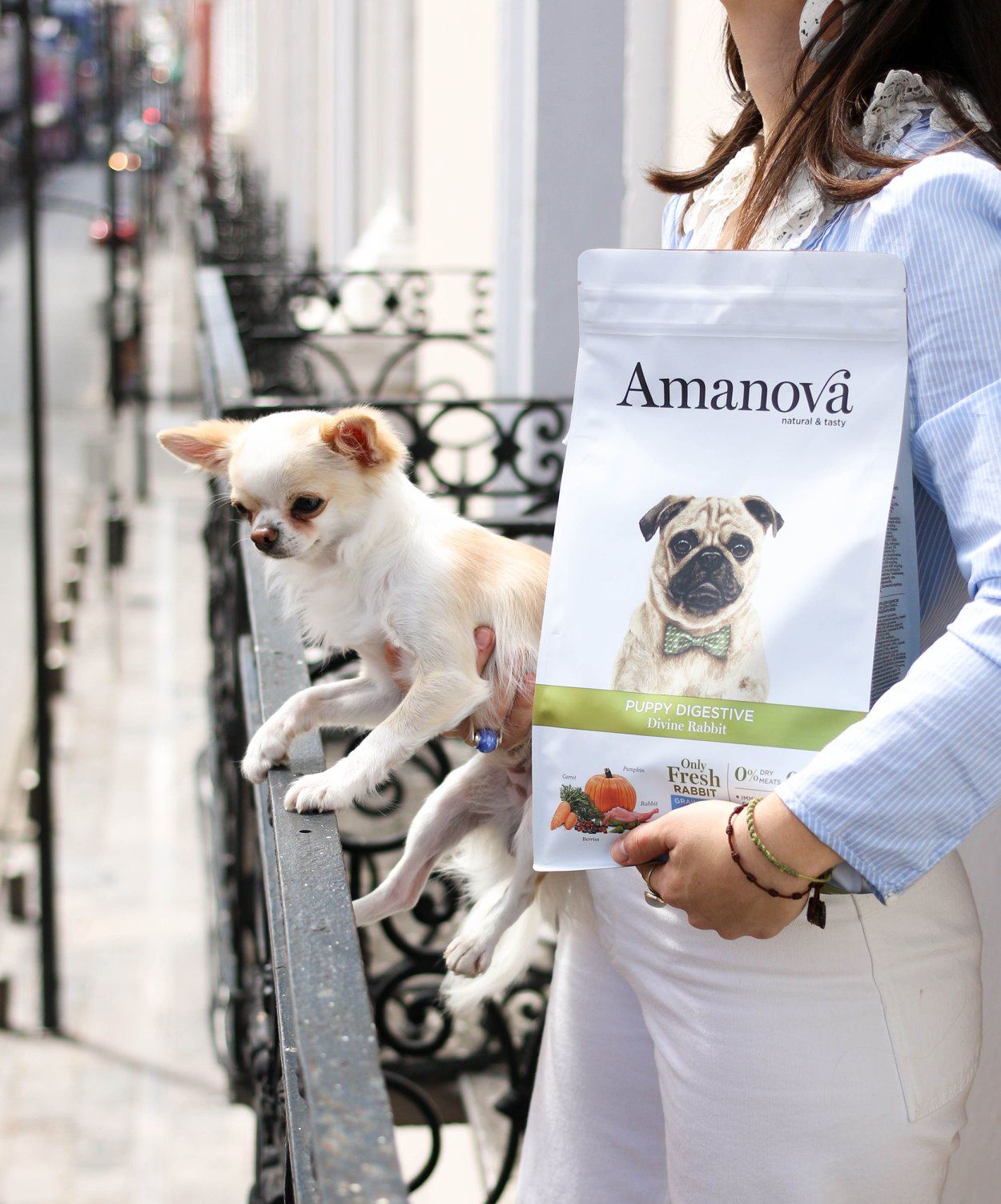 Amanova dog puppy Digestive küülik ja kõrvits 2 kg