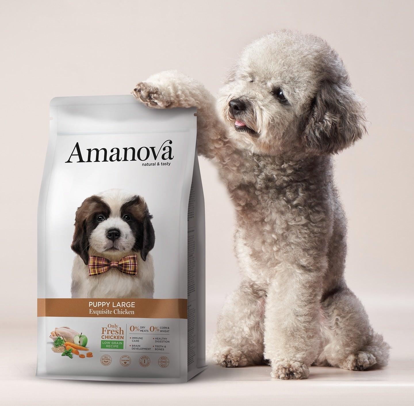 Amanova dog puppy large Exquisite chicken & quinoa 12 kg
