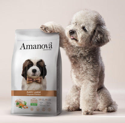 Amanova dog puppy large Exquisite chicken & quinoa 12 kg