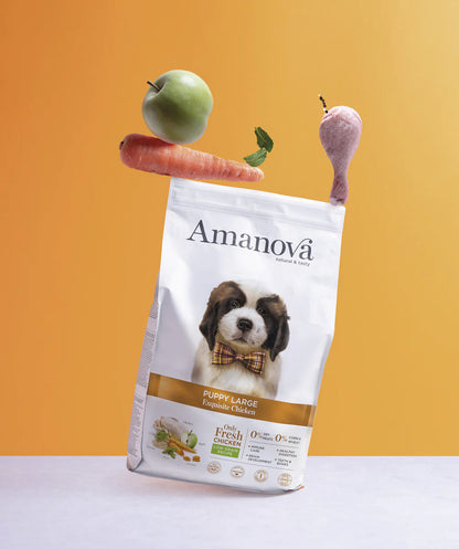 Amanova dog puppy large Exquisite chicken & quinoa 12 kg