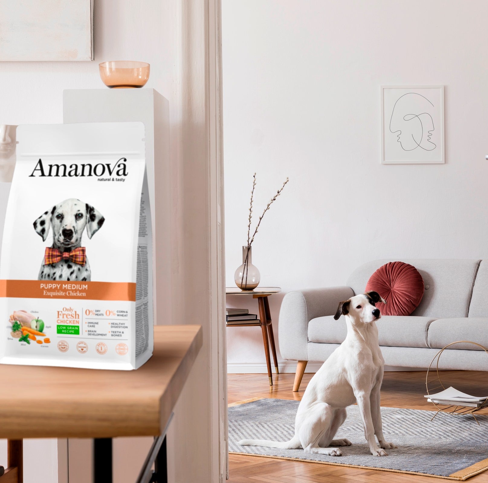 Amanova dog puppy medium Exquisite chicken & quinoa 12 kg