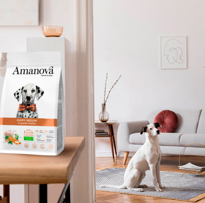 Amanova dog puppy medium Exquisite chicken & quinoa 12 kg
