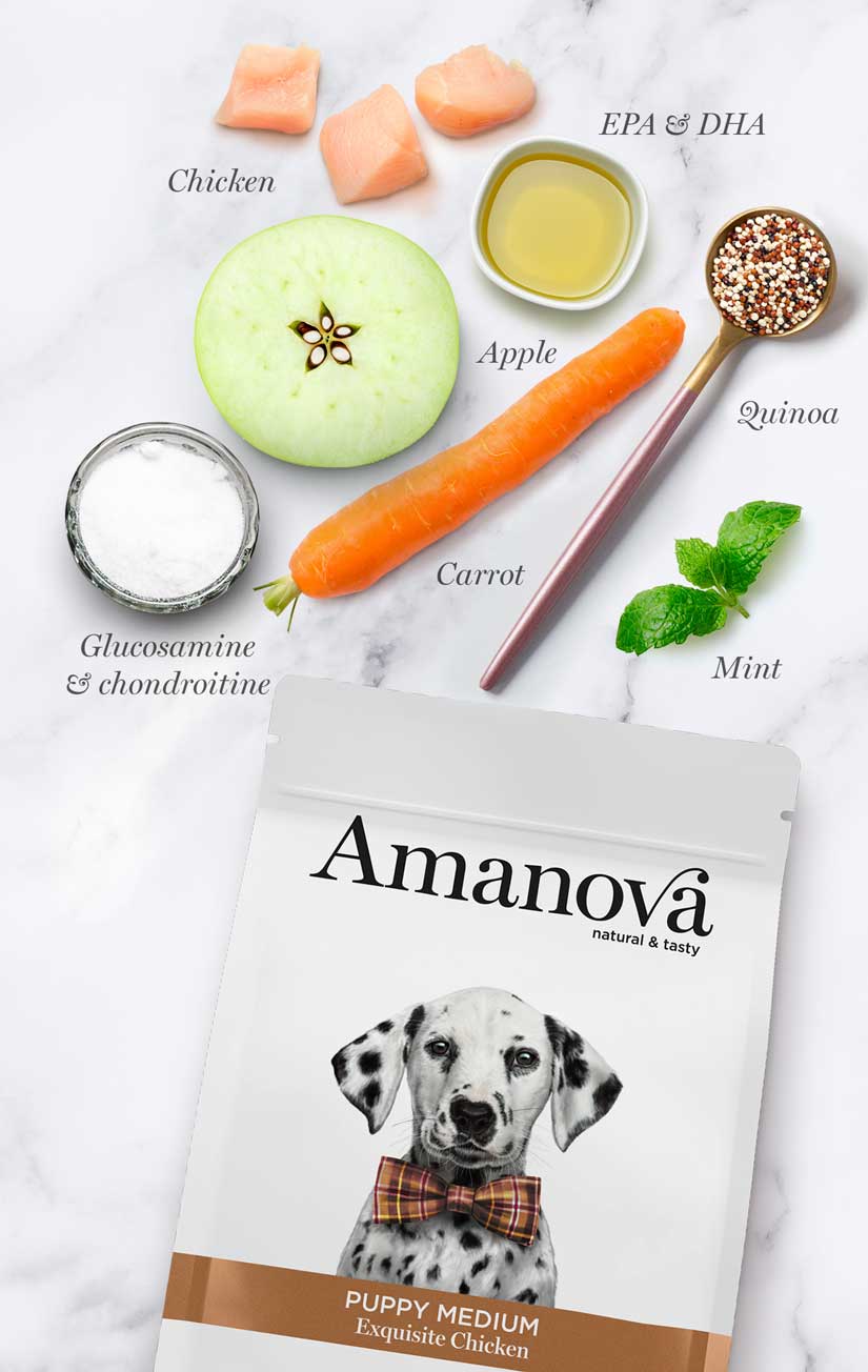 Amanova dog puppy medium Exquisite chicken & quinoa 12 kg