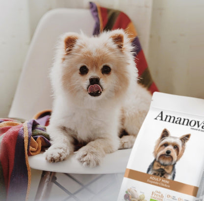 Amanova dog puppy mini Exquisite chicken & quinoa 2 kg