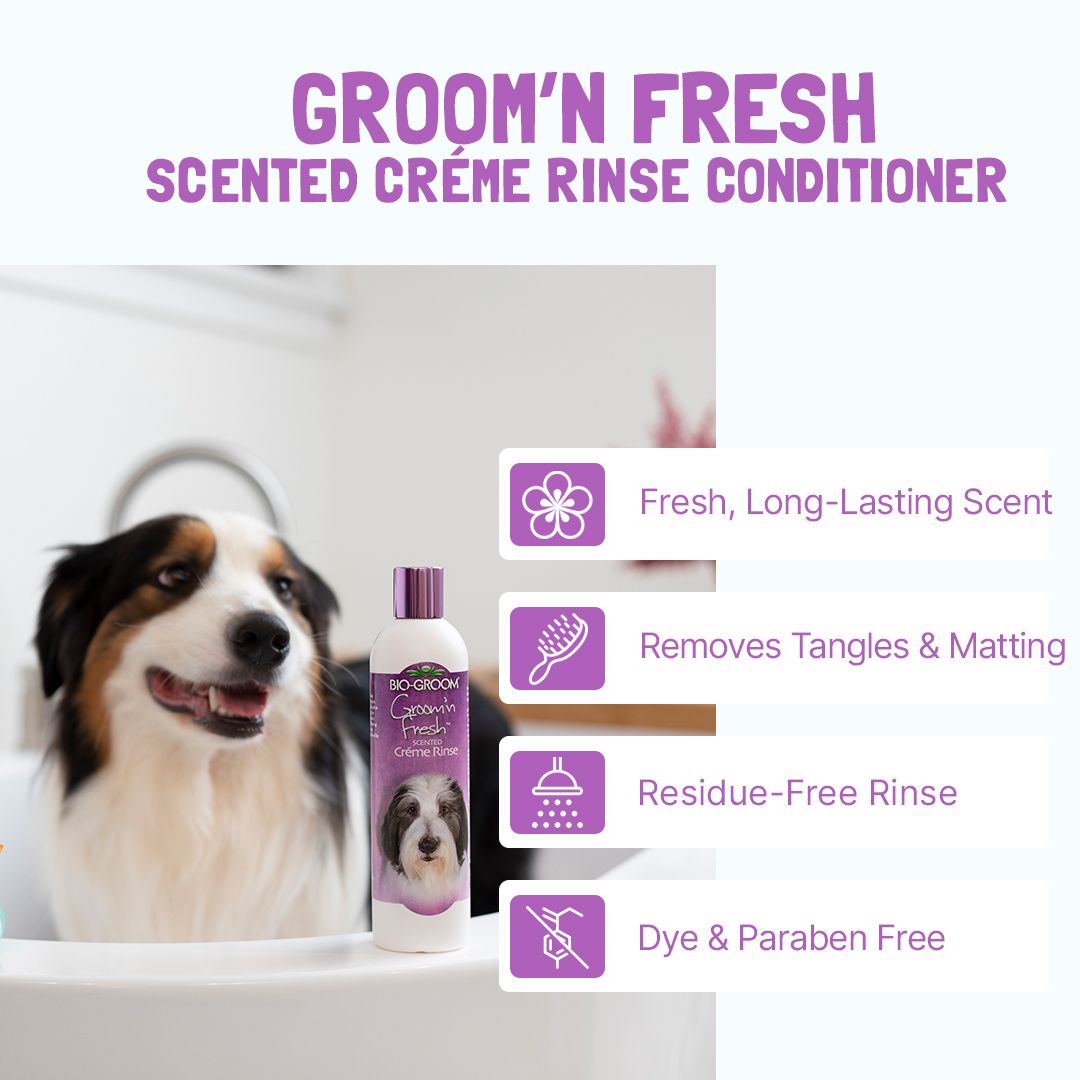 Bio-Groom Groom’n Fresh™ conditioner 12oz/355ml
