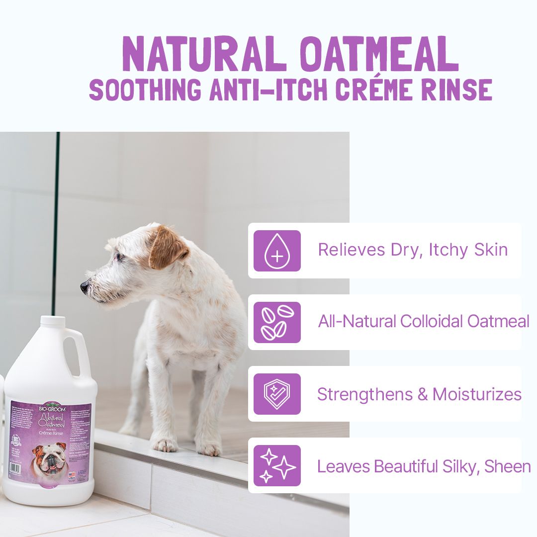 Bio-Groom Natural Oatmeal Anti-Itch conditioner 12oz/355ml