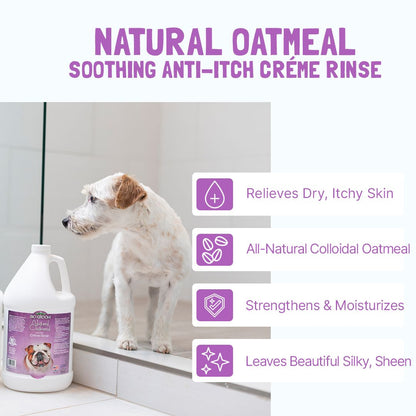 Bio-Groom Natural Oatmeal Anti-Itch conditioner 12oz/355ml