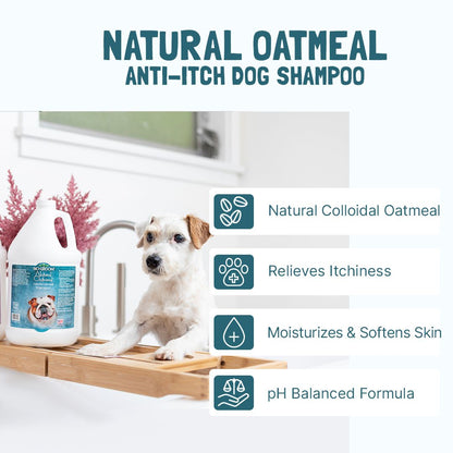 Bio-Groom Natural Oatmeal Anti-Itch shampoo gallonit (3,8 l)