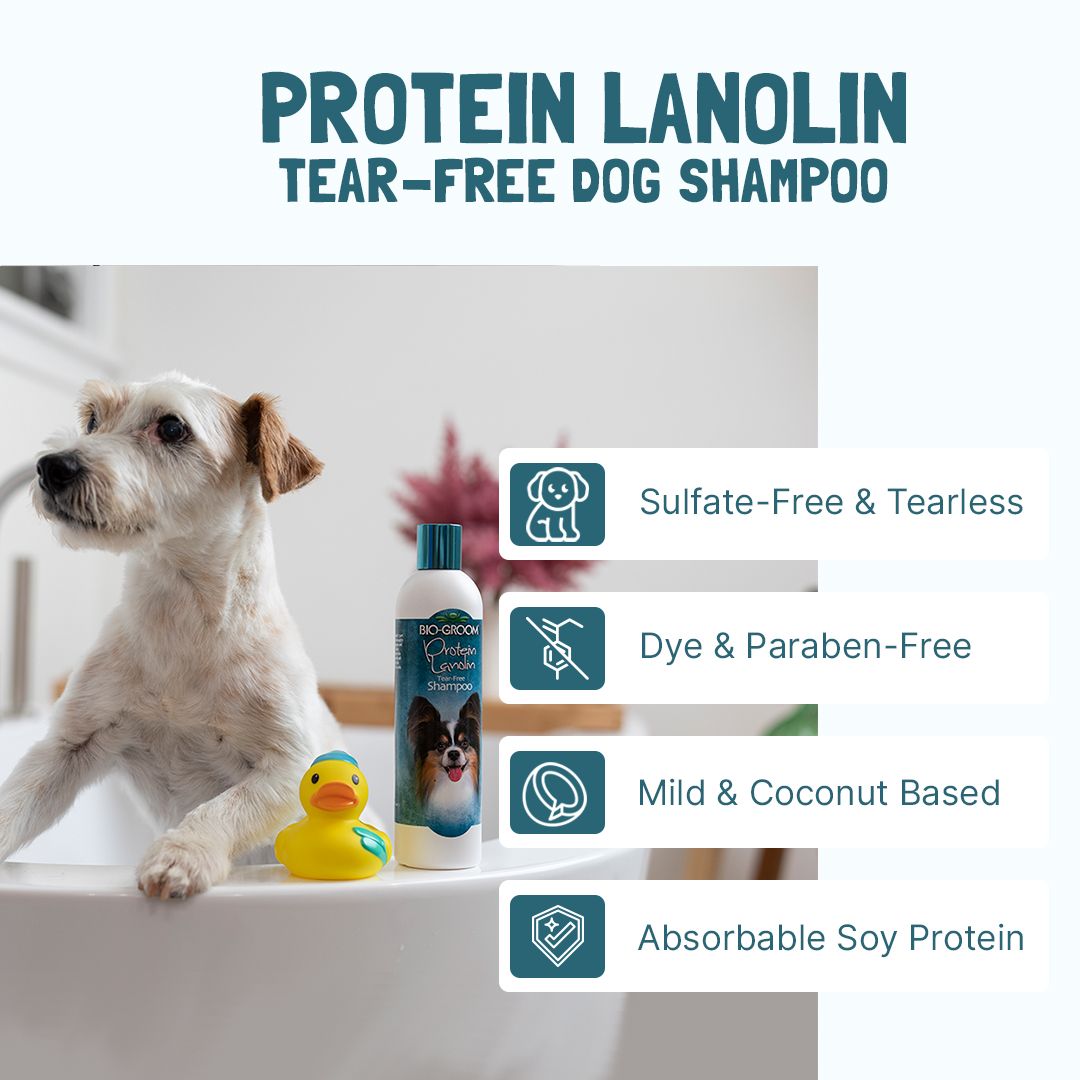 Bio-Groom Protein Lanolin shampoo 32oz/946ml pump bottle