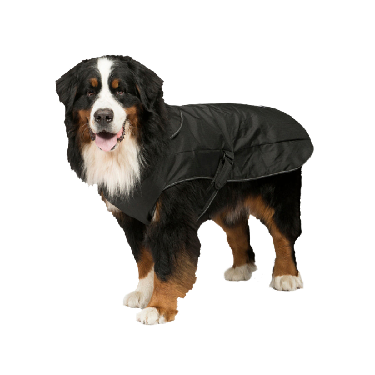 Danish Design Dog coat 2in1 harness black