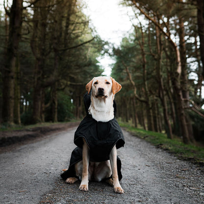 Danish Design Dog Coat 2in1 L/R black