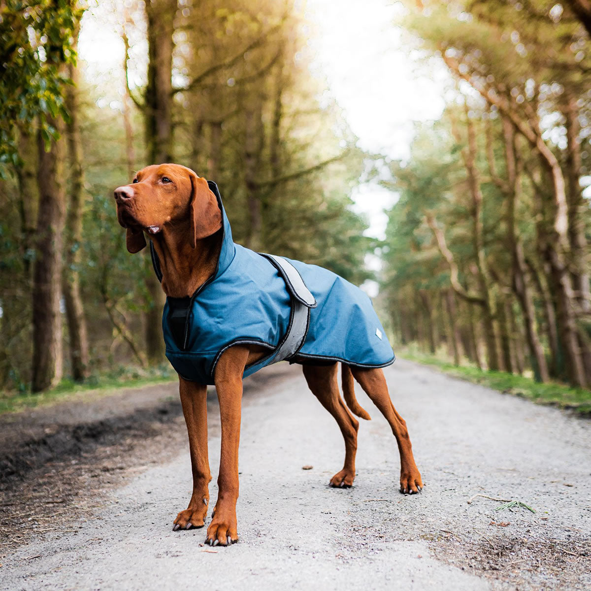 Danish Design Dog Coat 2in1 L/R blue