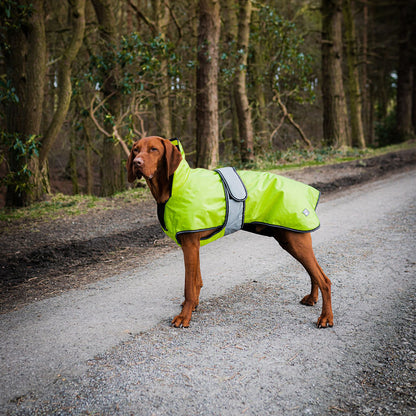 Danish Design Dog Coat 2in1 L/R yellow