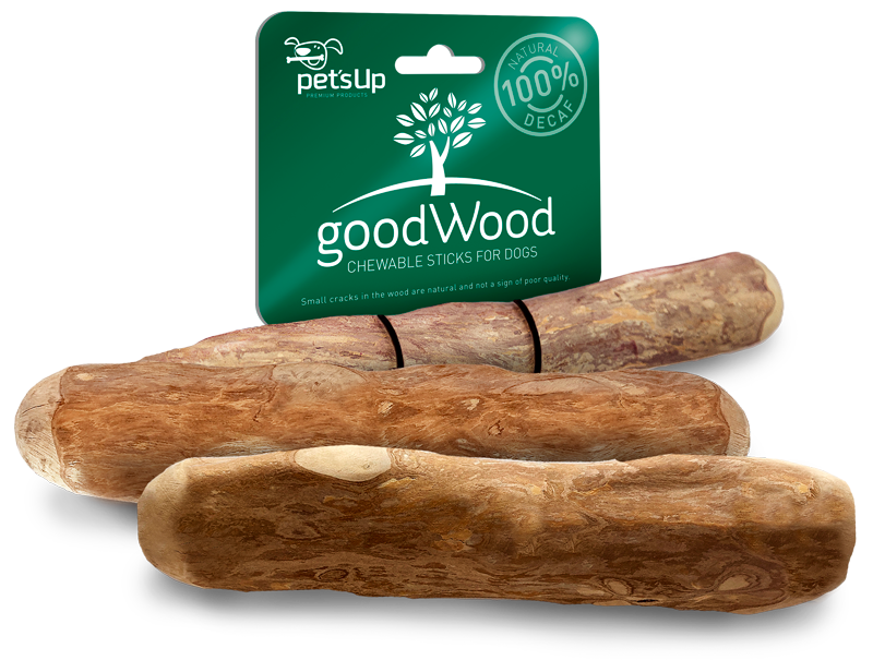 GoodWood Coffeetree Chew L