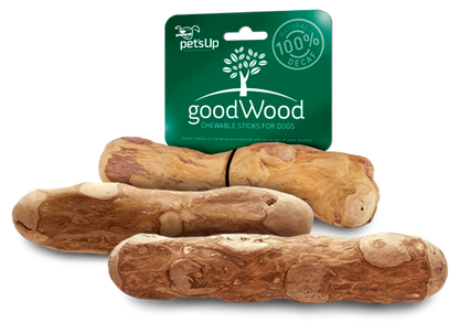 GoodWood Coffeetree Chew M