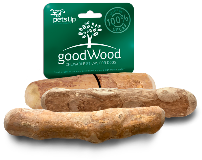 GoodWood Coffeetree Chew S