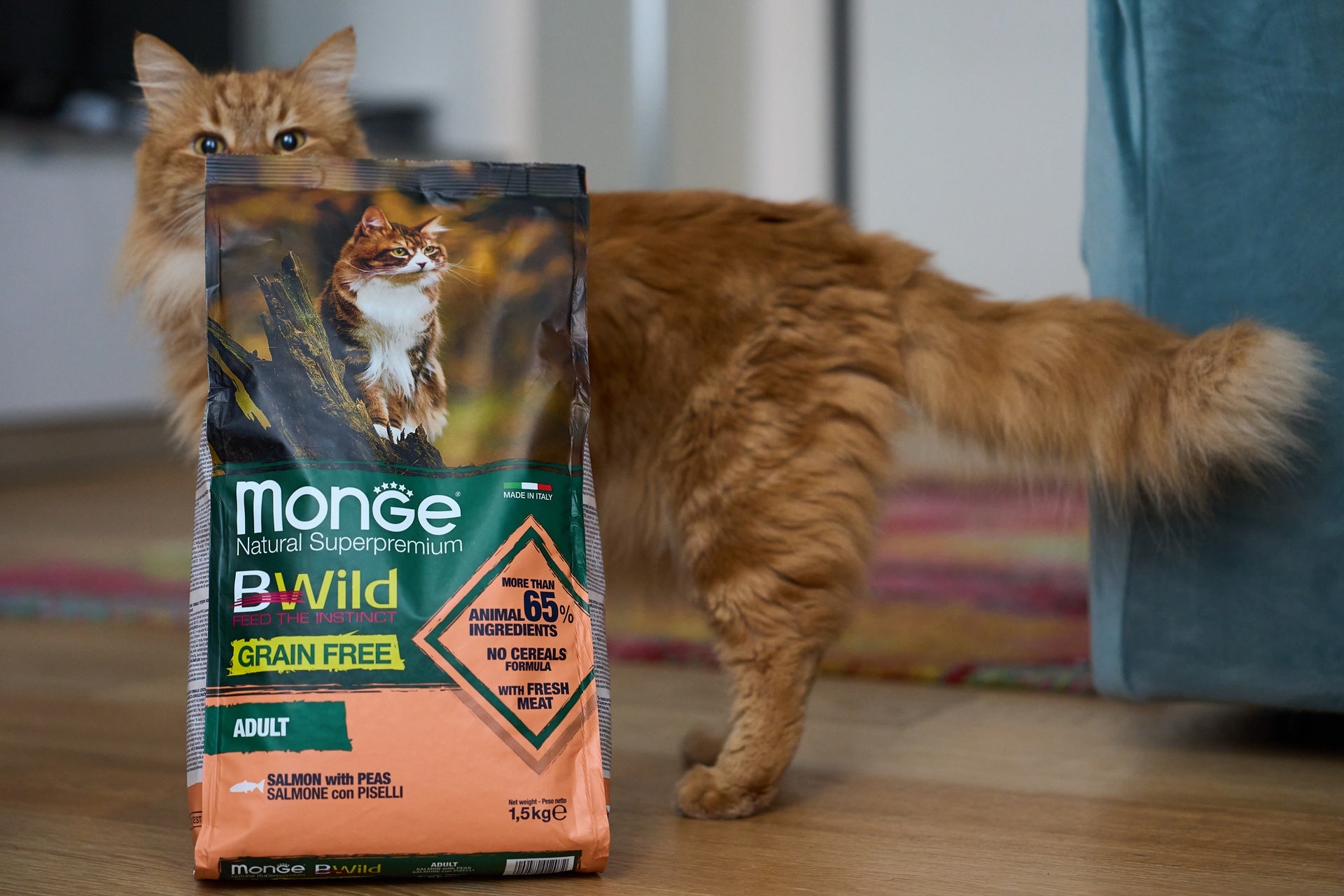 Monge Cat Adult BWild Grain Free Lõhe-Herne 1,5 kg