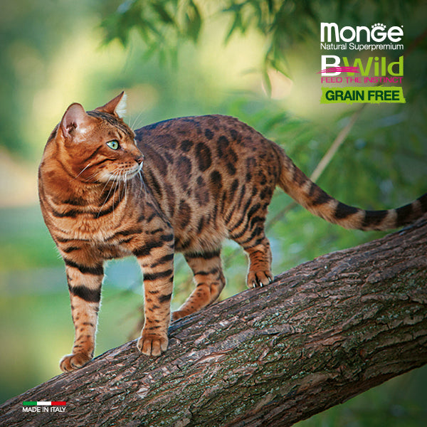 Monge Cat Adult Sterilised BWild Grain Free Tuna & Peas 1,5 kg