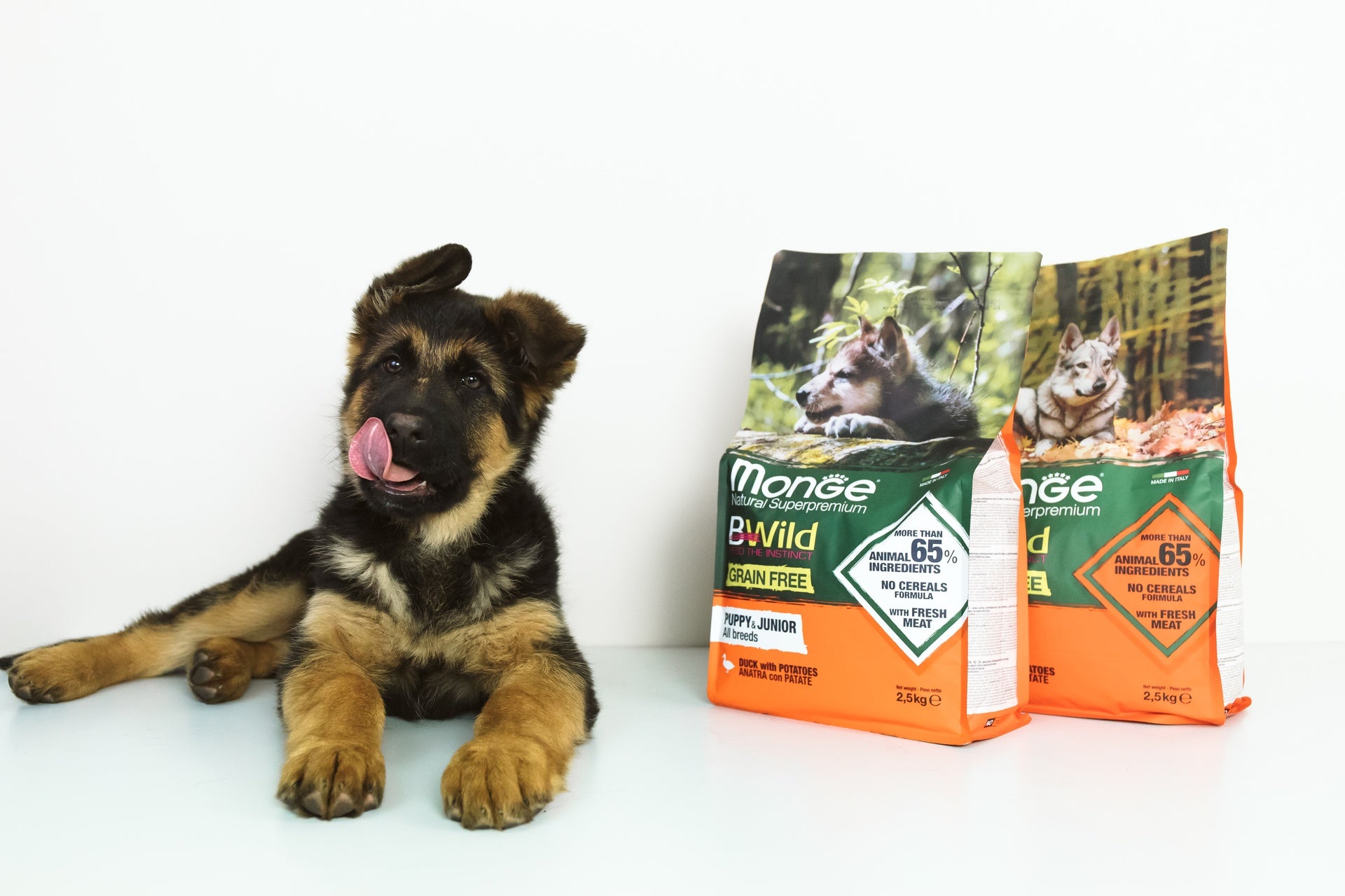 Monge dog adult BWild grain free duck-potato 2.5kg