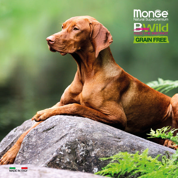 Monge Dog Adult BWild Grain Free Lamb-Potato-Pea 2.5kg