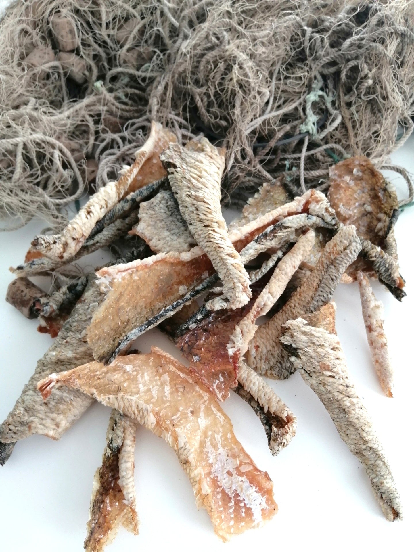 Pike-perch dry food 1kg