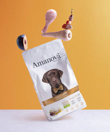 Provpåse Amanova dog adult large Exquisite kyckling & quinoa 70g 