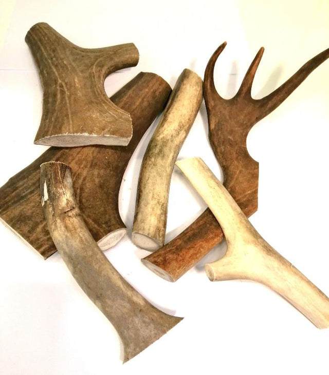Reindeer Antler Finnish 1kg