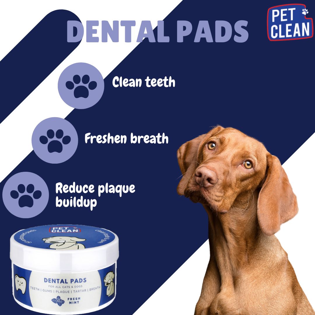 Pet Clean Dental hampaidenpuhdistuspyyhe 50 kpl