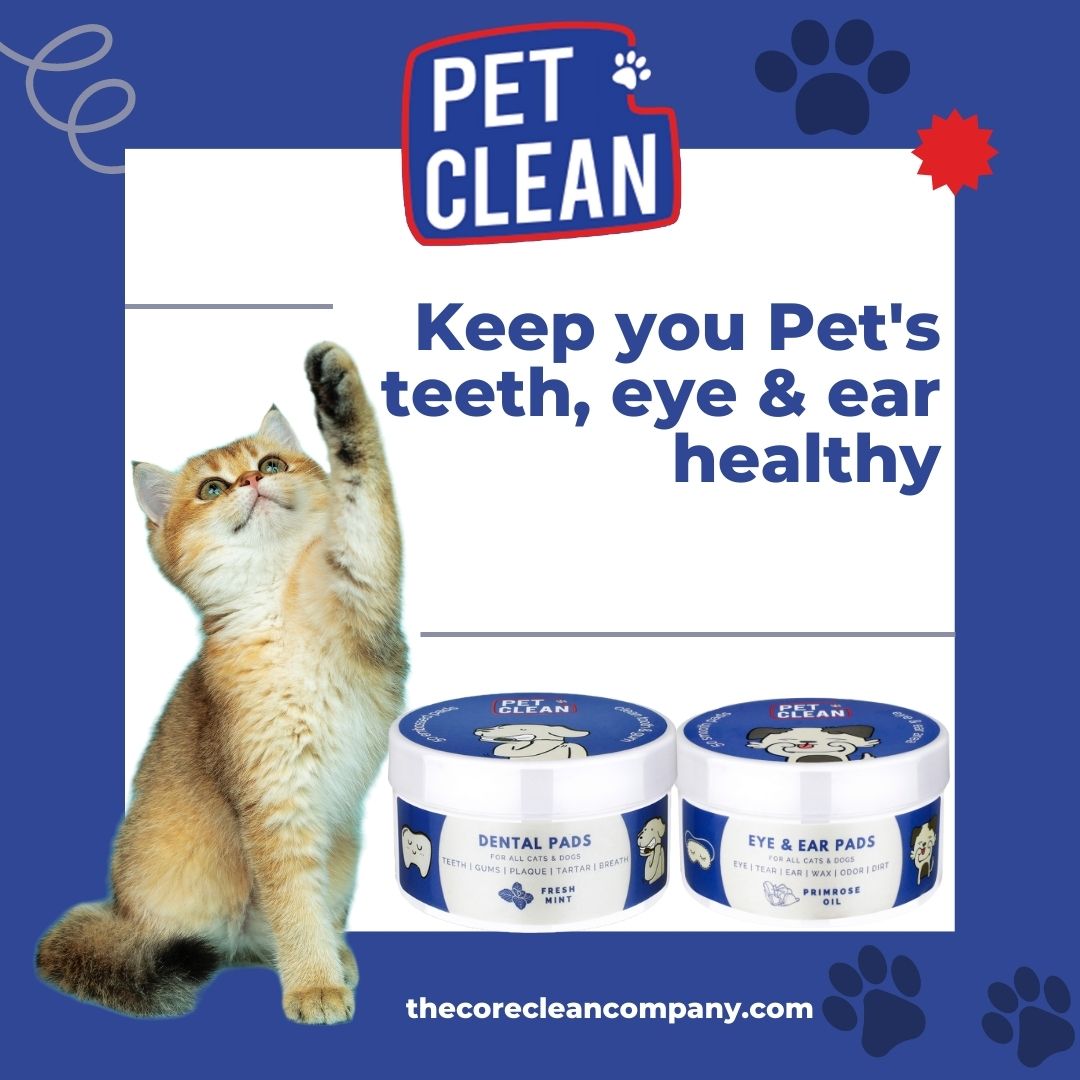 Pet Clean Dental hampaidenpuhdistuspyyhe 50 kpl