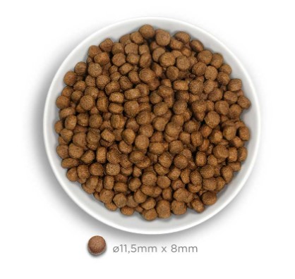 Amanova Puppy kana & kvinoa isoille pennuille 12 kg