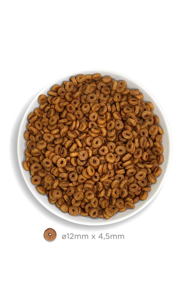 Amanova Adult lohi & kvinoa aikuisille kissoille low grain 1,5 kg