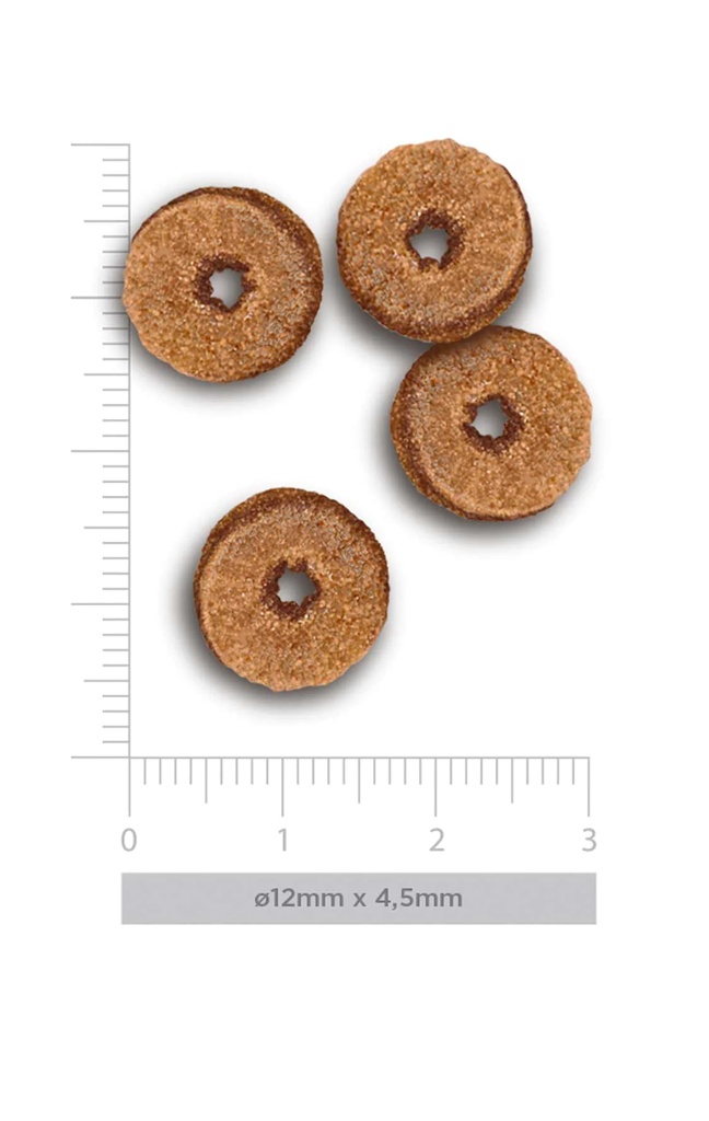 Amanova Adult lohi & kvinoa aikuisille kissoille low grain 1,5 kg