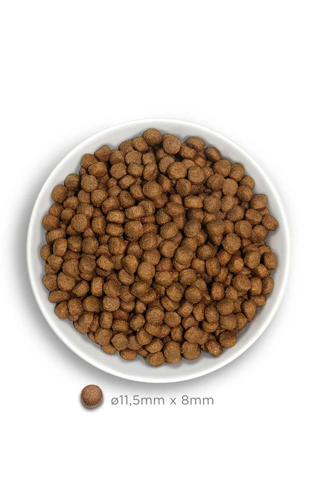 Amanova Large kana & kvinoa aikuisille isoille koirille 12 kg