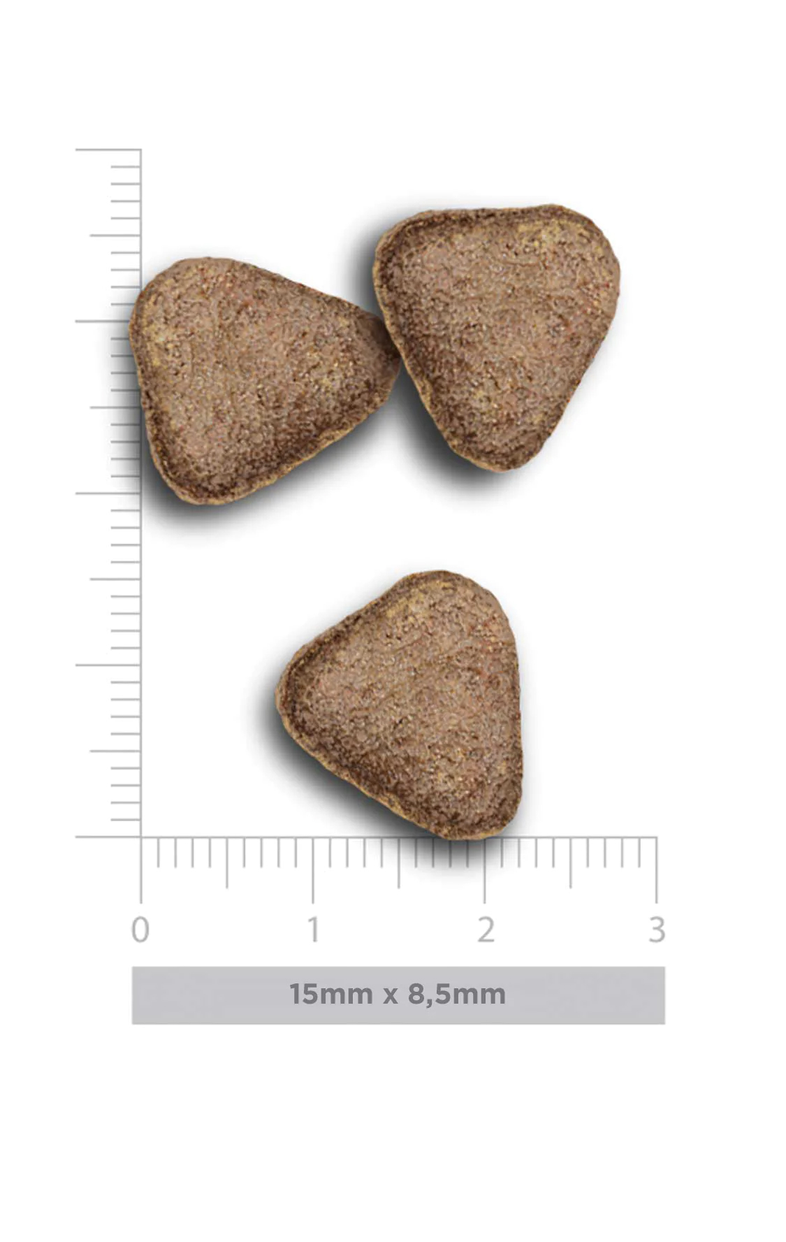 Amanova dog adult Exigent Iberian possu & kurpitsa 10 kg