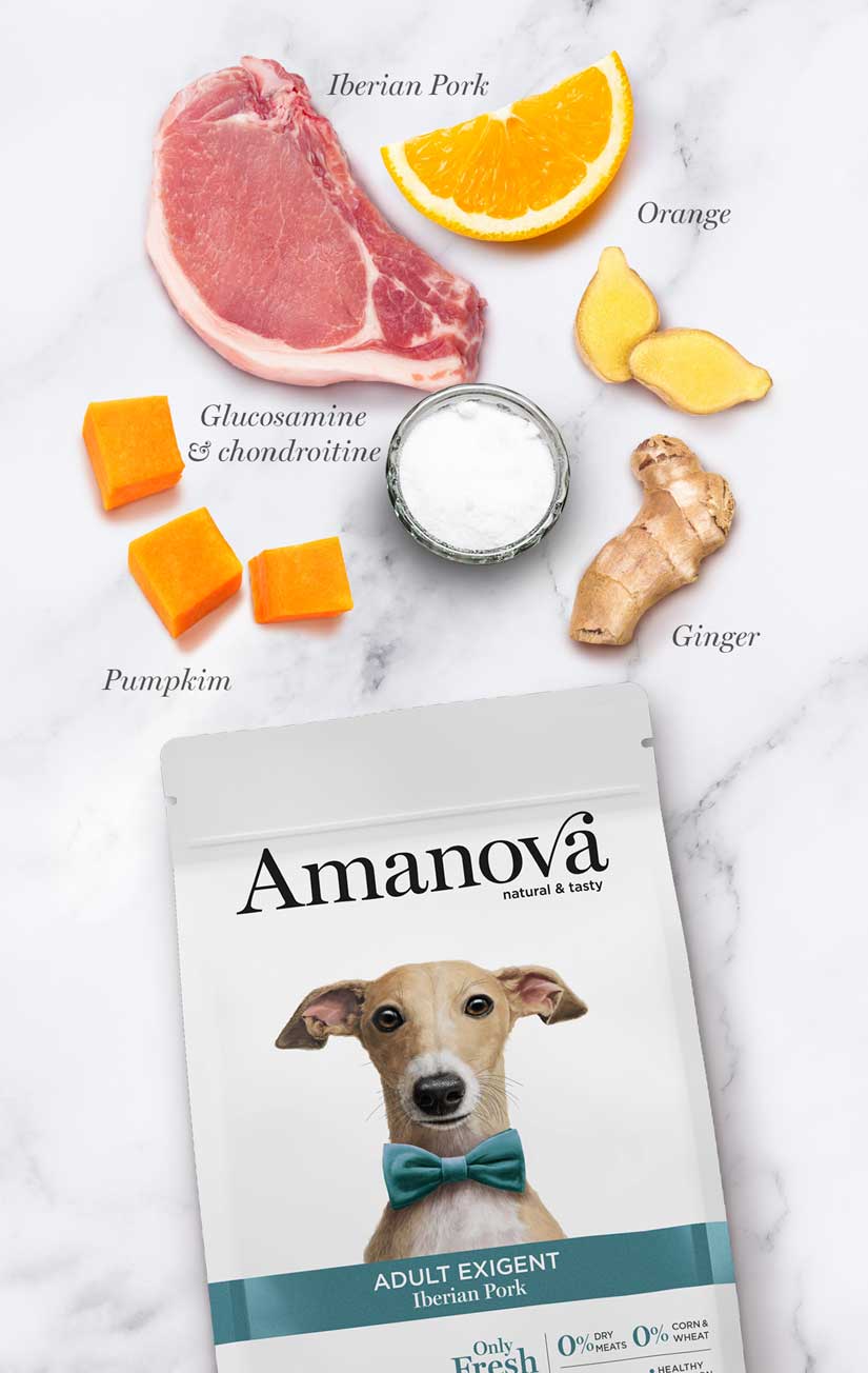 Amanova dog adult Exigent Iberian possu & kurpitsa 10 kg