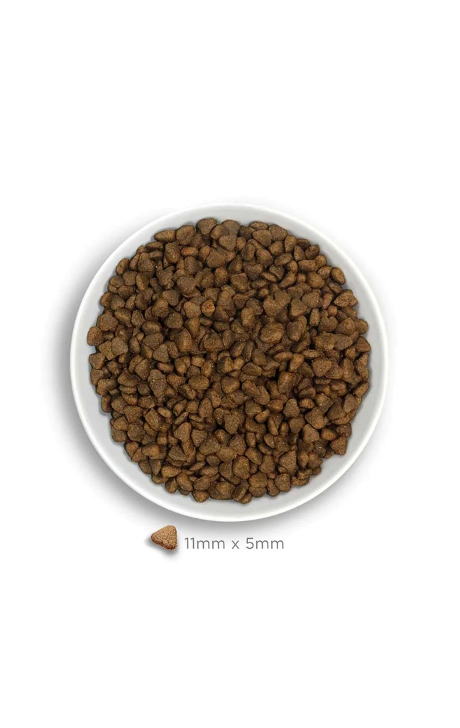 Amanova Mini Obesity kalkkuna pienille ylipainoisille koirille 800 g