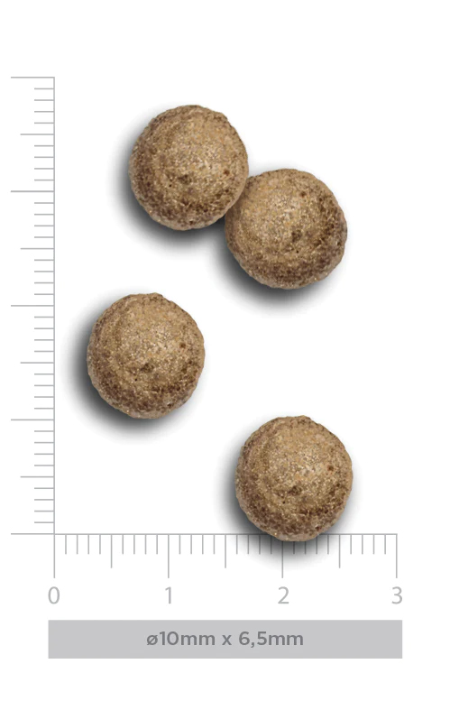 Amanova Mini Obesity kalkkuna pienille ylipainoisille koirille 800 g