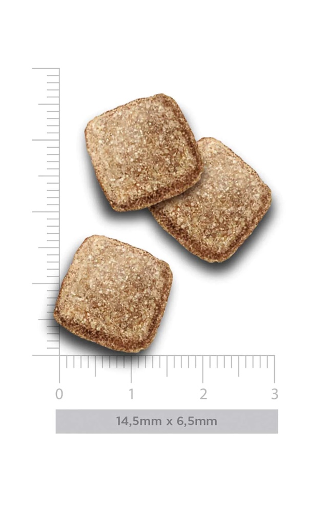 Amanova Mobility kala & kvinoa nivelruoka koirille 10 kg