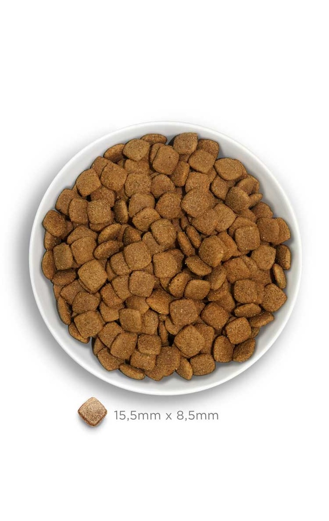 Amanova Mobility kala & kvinoa nivelruoka koirille 2 kg