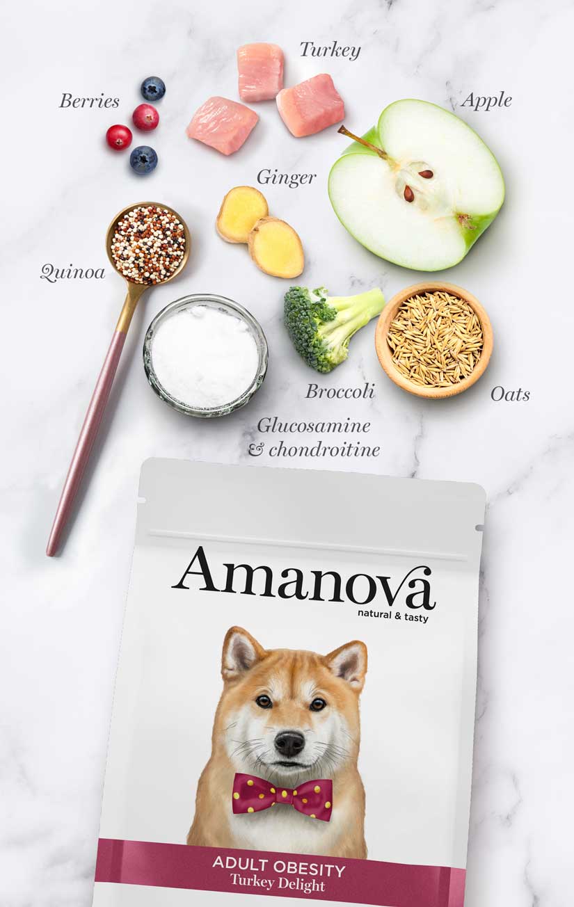 Amanova dog adult Obesity kalkkuna & kvinoa 10 kg