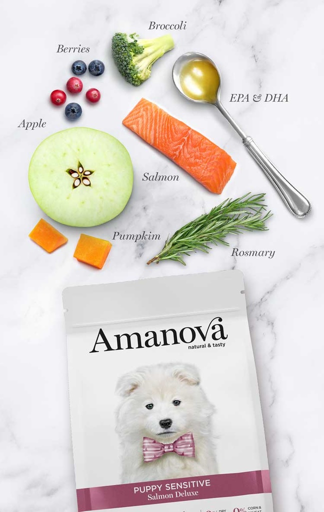 Amanova Puppy Sensitive lohi & kurpitsa pennuille 2 kg