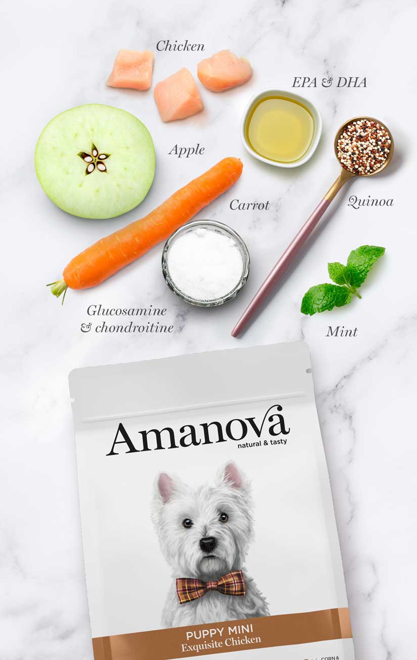 Amanova dog puppy mini Exquisite kyckling & quinoa 2 kg