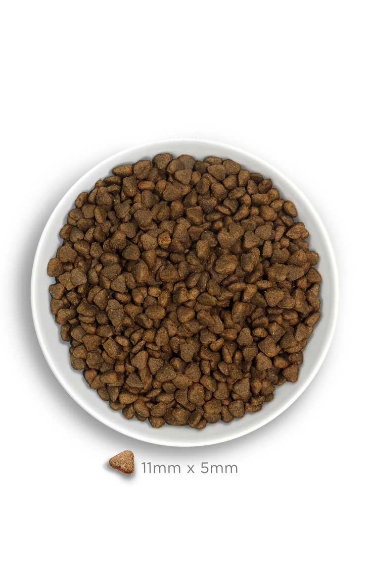 Amanova dog adult mini Sensitive lammas & kurpitsa 800 g