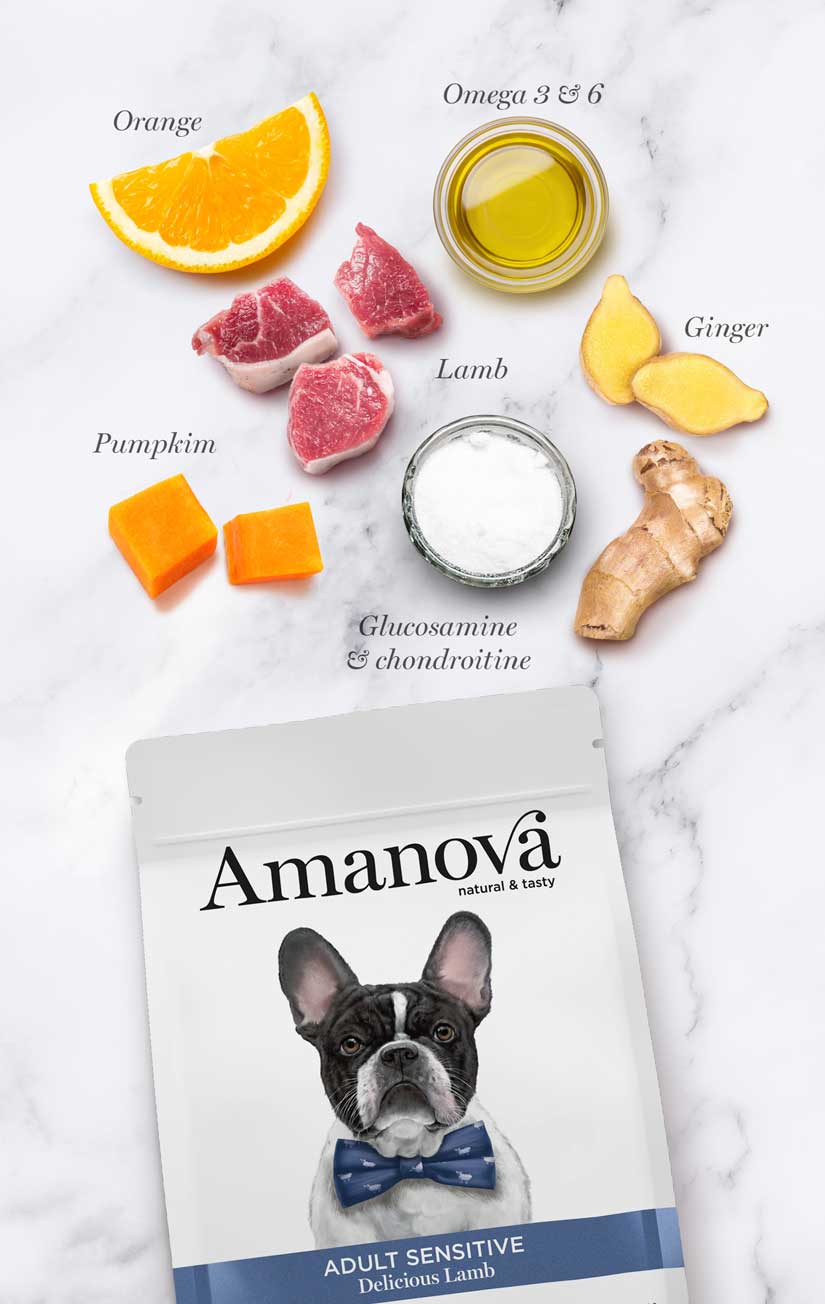 Amanova dog adult Sensitive lammas & kurpitsa 2 kg