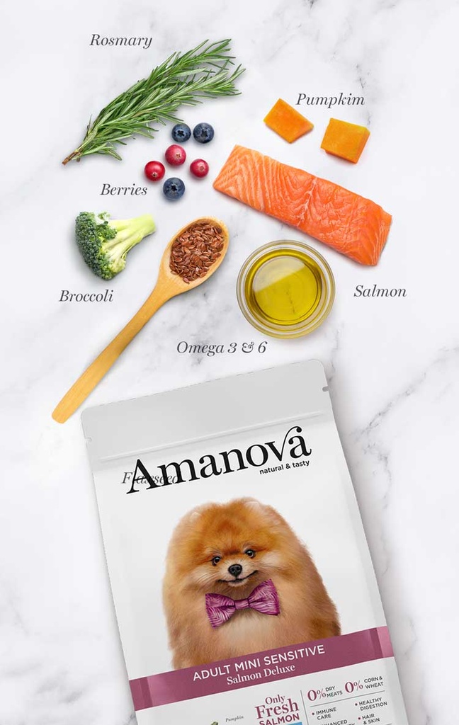 Amanova Sensitive lohi & kurpitsa pienille aikuisille koirille 2 kg