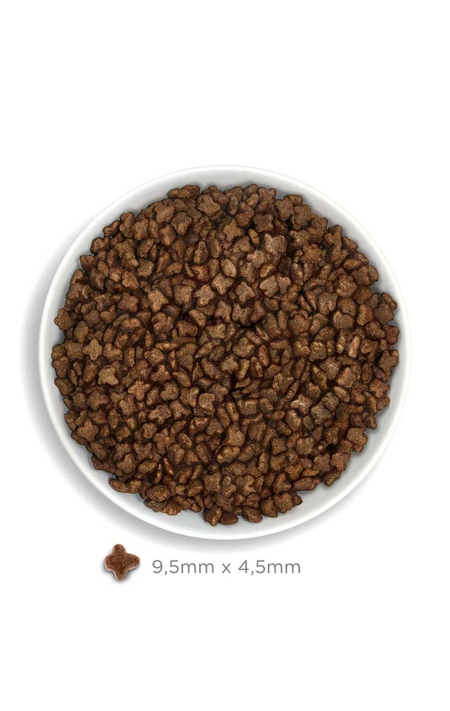 Amanova Kitten kana & kvinoa kissanpennuille  low grain 1,5 kg