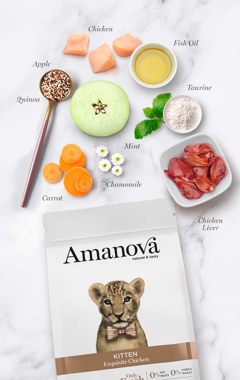 Amanova cat kitten kana & kvinoa low grain 300 g