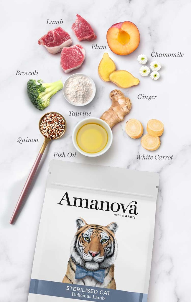 Amanova Sterilised lammas & kvinoa steriloiduille kissoille low grain 1,5 kg